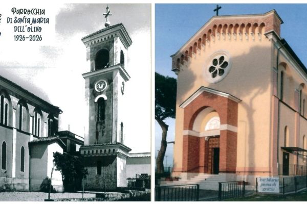 santa-maria-dellolivo-100a959519ED-935E-FA33-3A82-3F5C5C7F50E1.jpg