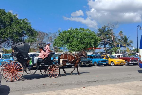 cuba2019r-0341AC26F77-0E78-AEC5-118F-EE8A973429AC.jpg